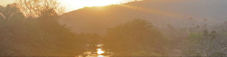 Image link